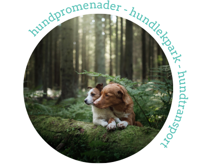 mamma-hund-banner